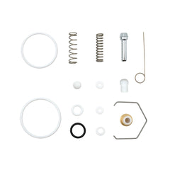 Gasket kit Carbonio